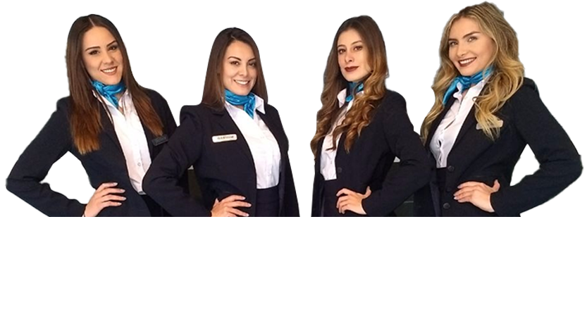 Bell - A perfect theme